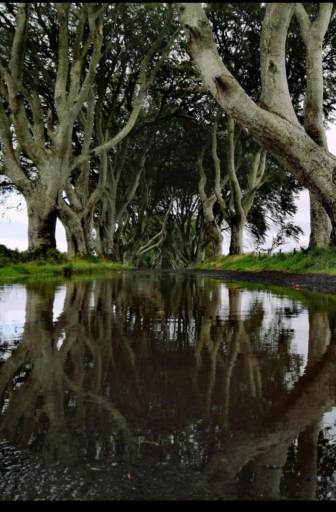 Doughery Den The Dark Hedges Hideaway Armoy Exterior foto